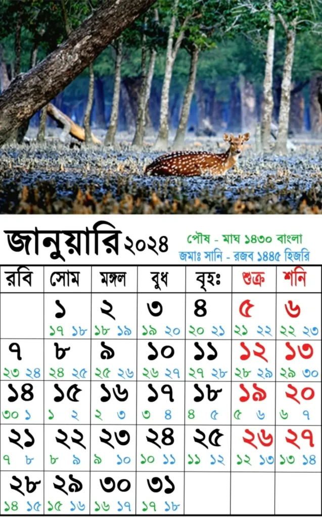 আজকের তারিখ বাংলা ইংরেজি আরবি ২০২৫ | বাংলা ক্যালেন্ডার ১৪৩০| বাংলা মাসের ক্যালেন্ডার ২০২৫