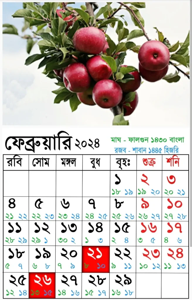 আজকের তারিখ বাংলা ইংরেজি আরবি ২০২৫ | বাংলা ক্যালেন্ডার ১৪৩০| বাংলা মাসের ক্যালেন্ডার ২০২৫