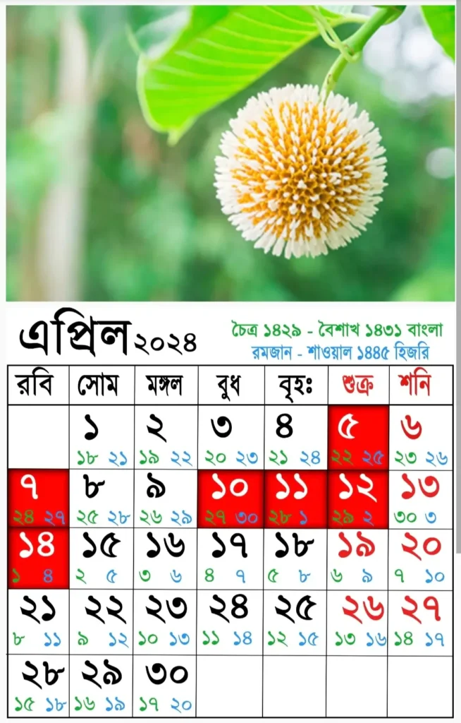 আজকের তারিখ বাংলা ইংরেজি আরবি ২০২৫ | বাংলা ক্যালেন্ডার ১৪৩০| বাংলা মাসের ক্যালেন্ডার ২০২৫