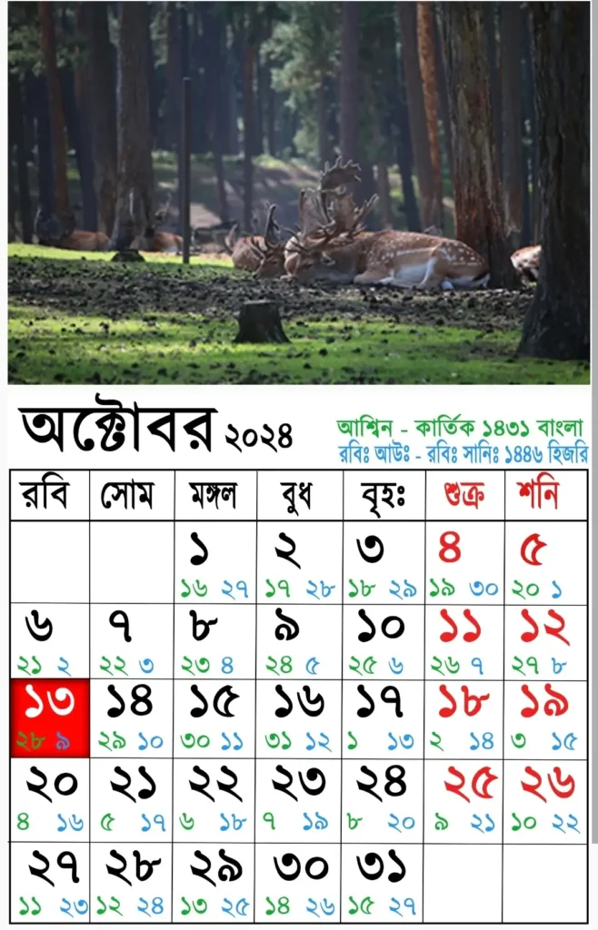 আজকের তারিখ বাংলা ইংরেজি আরবি ২০২৫ | বাংলা ক্যালেন্ডার ১৪৩০| বাংলা মাসের ক্যালেন্ডার ২০২৫